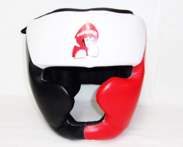 WA Tri Color Headguard