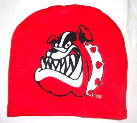 State of Ohio headwear back (1)